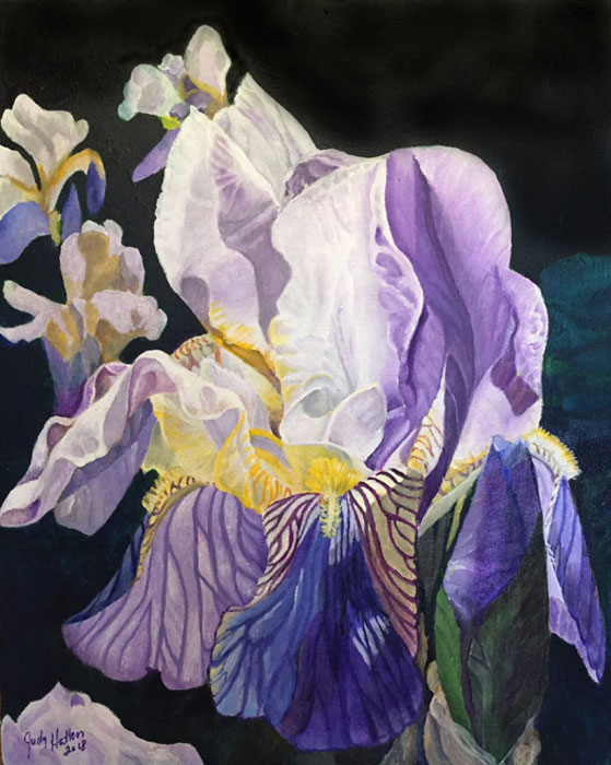 German Iris, acrylic on canvas panel, 22″ x 28″ by Judy Hatlen