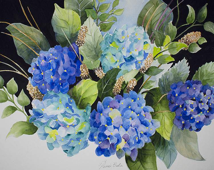 Hydrangeas in Blue, watercolor, 16x19