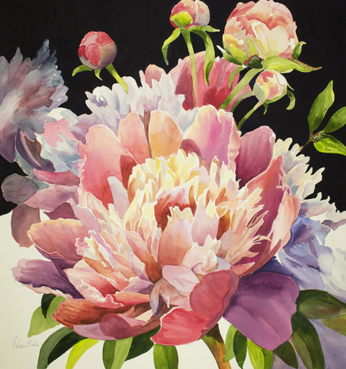 Pink Peony, watercolor, 20.5x20 by Tanis Bula